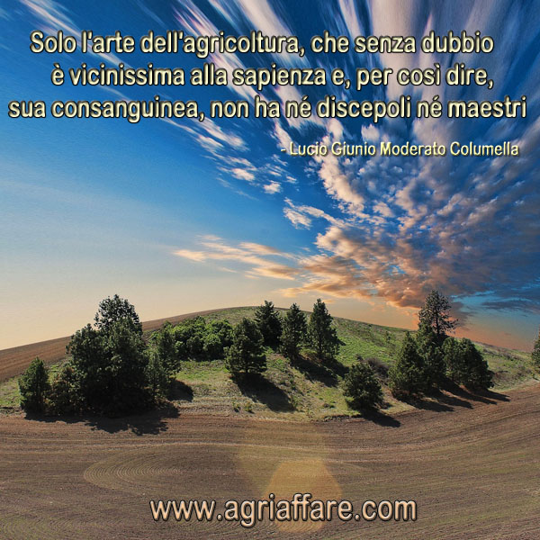 Passione Per L Agricoltura Dillo Con La Natura Agriaffare