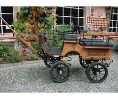 Carrozza Wagonette 6 posti