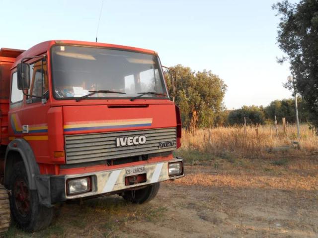 Camion rib