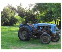 trattore Landini R25 Landinetta